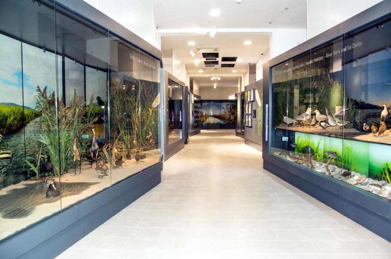 Mobine Apartment