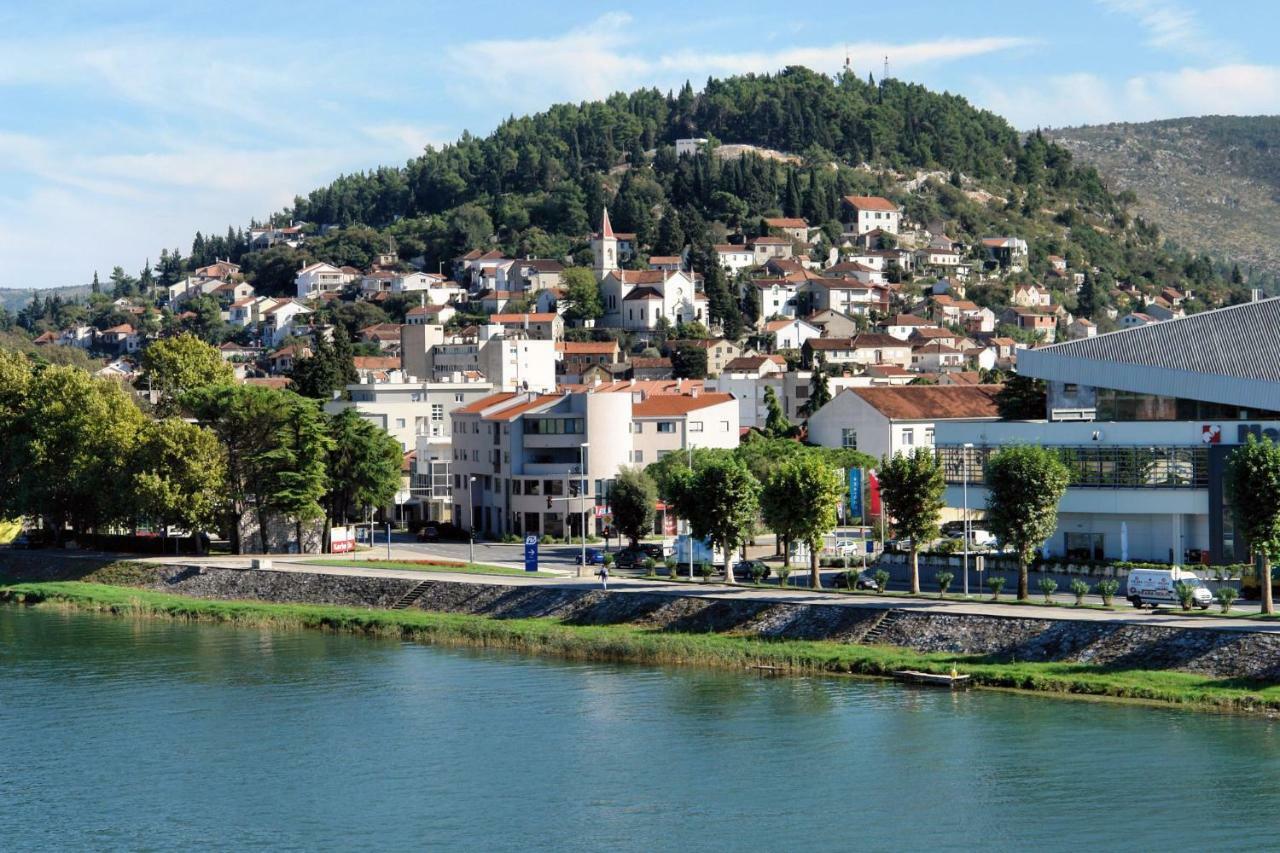 Mobine Metkovic