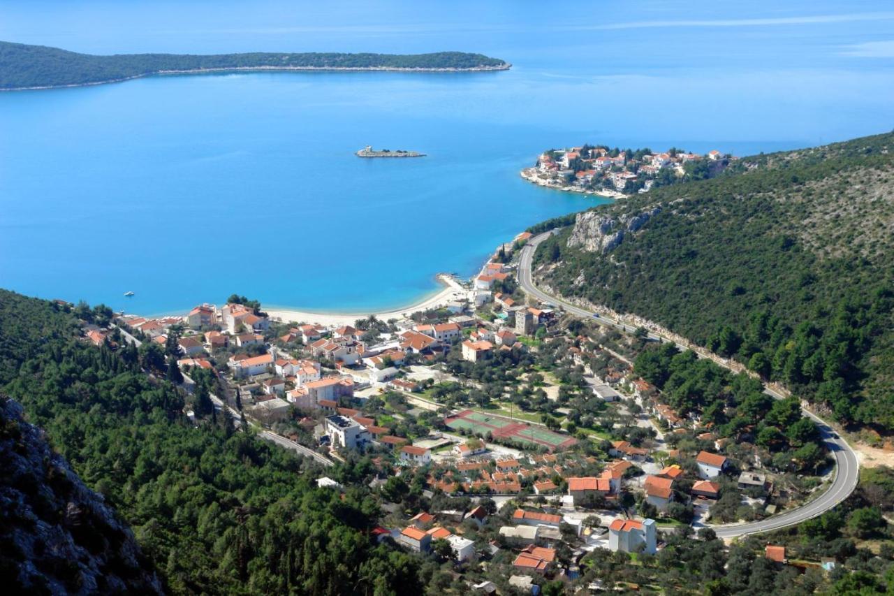 Mobine Metkovic
